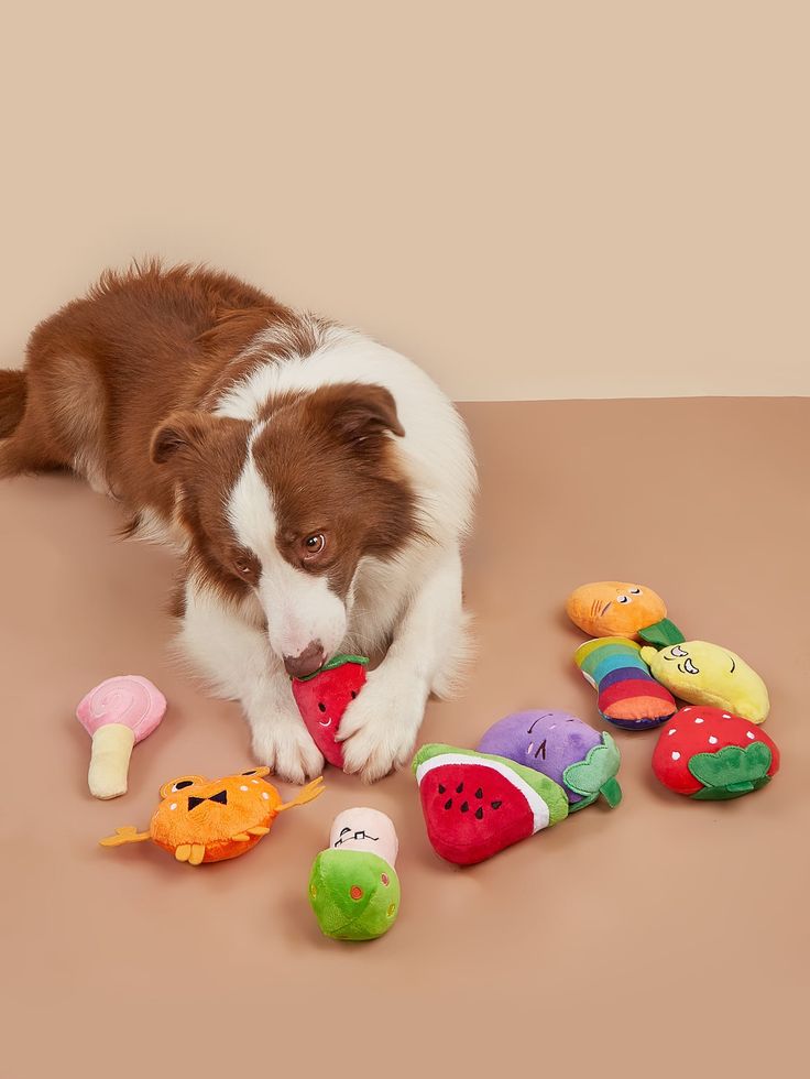 Endless Fun for Your Furry Friends